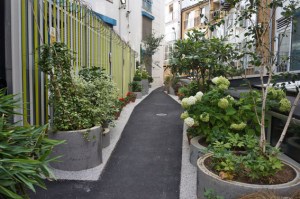 Gibbon's Rent Community Garden