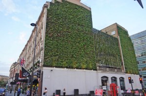 London plant wall