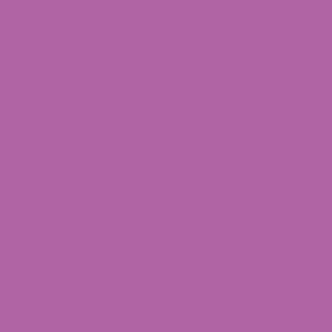 Radiant Orchid Pantone