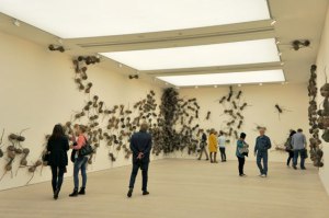 Saatchi Gallery Pangea