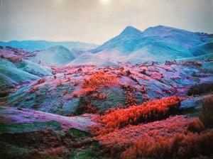 Richard Mosse