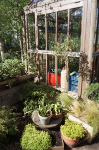 Dalston Eastern Curve Garden