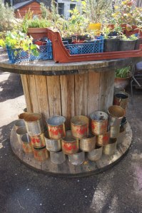 Dalston Eastern Curve Garden