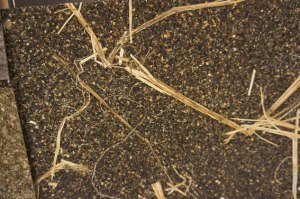 Clerkenwell Design week 2015