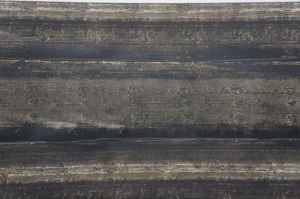 Theaster Gates Freedom of Assembly