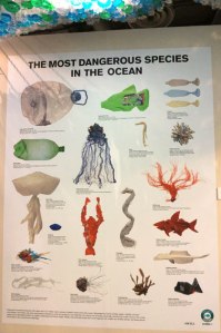 Selfridges Project Ocean