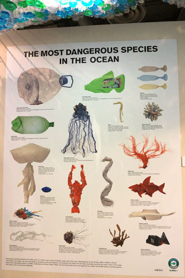 Selfridges Project Ocean