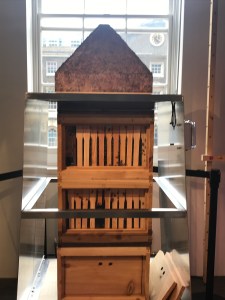 Science Gallery 2019