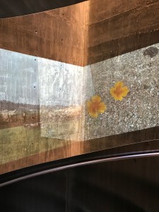 Stella Mccartney store 2019