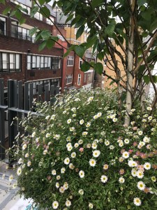 Clerkenwell Design week 2019
