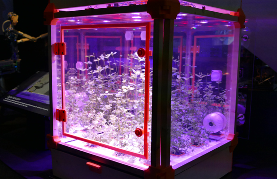 Barbican AI exhibition 2019