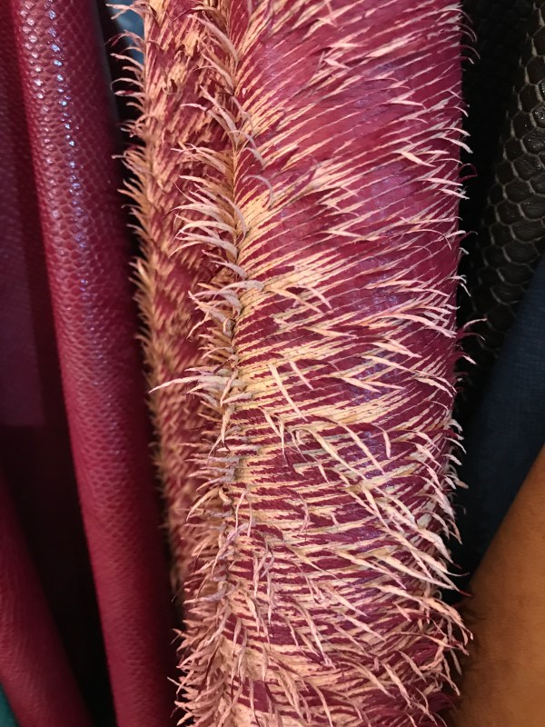 Lineappelle Trade show 2020