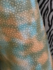 Lineappelle Trade show 2020