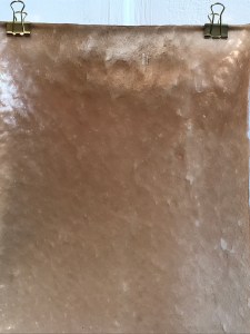 Surface Design Show 2020