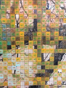 Charles Gaines Hauser & Wirth