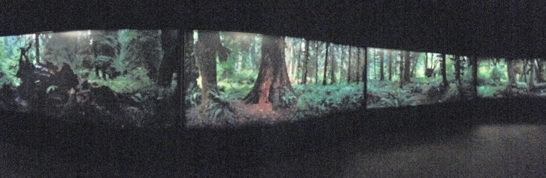 Wellcome Collection 2021