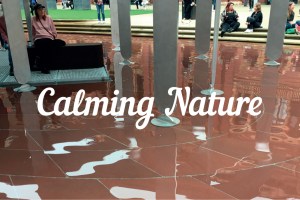 Design Trends ldf MTakala 2021