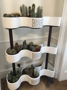 Design Trends ldf 2021