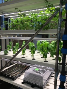 Fabrica X, The Mills Fabrica