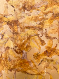 Hand crafted bio materials