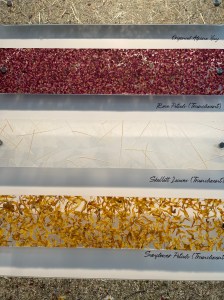 Surface Design Show 2022