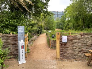 Camley Street Natural Park