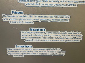 Design Museum Sensorial exhibition