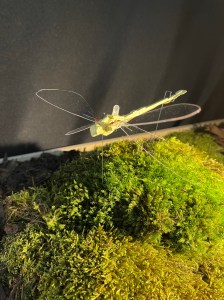 Regenerative future by Arup