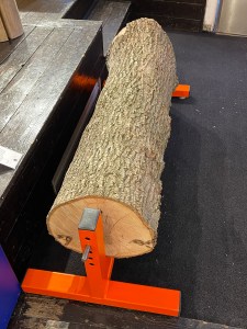 Nature inside SCP furniture