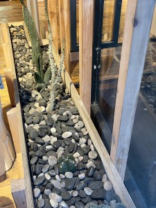 Nature inside Goodhood