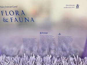 London Design Festival 2023