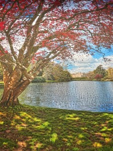 Digital art by Daniel Ambrosi