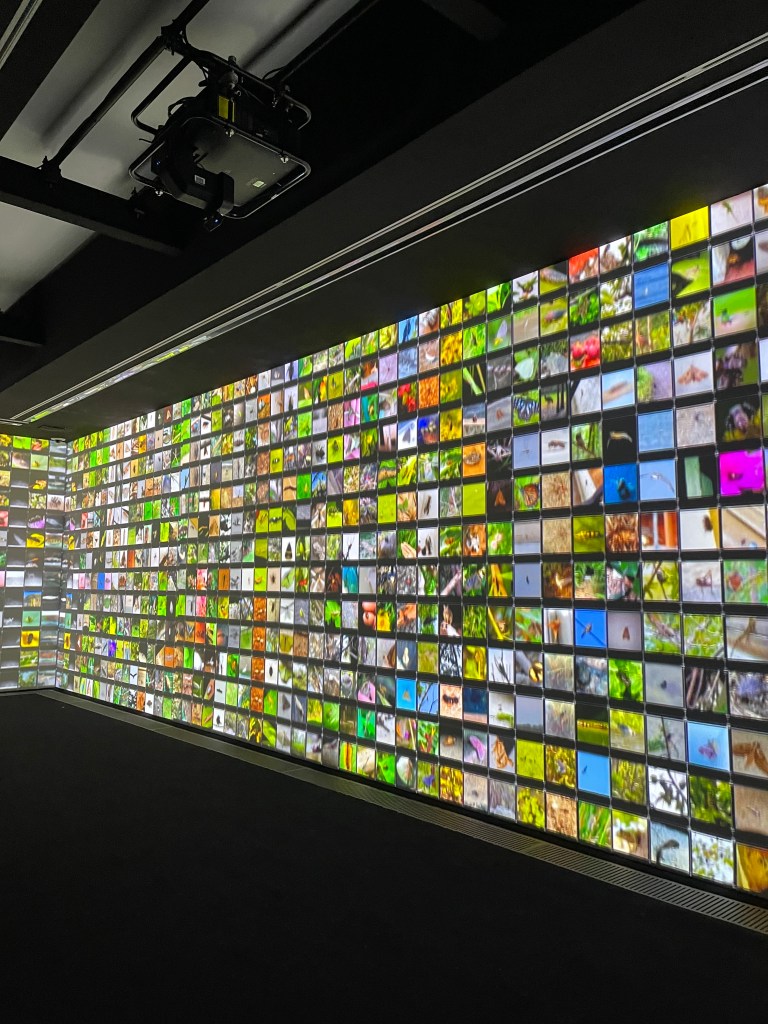 Refik Anadol, Serpentine Gallery 2024