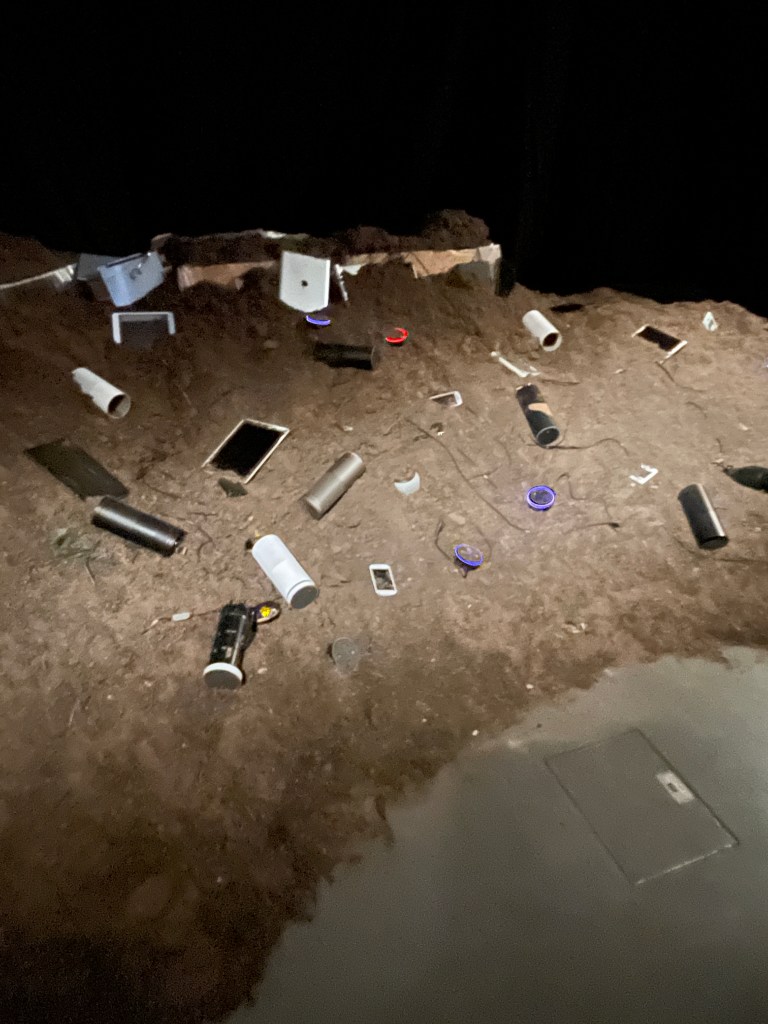 Science Gallery 2024