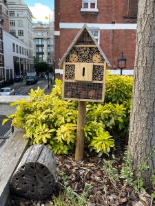 Insect hotel, Biodiversity London