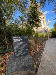 Nature Discover Garden 2024