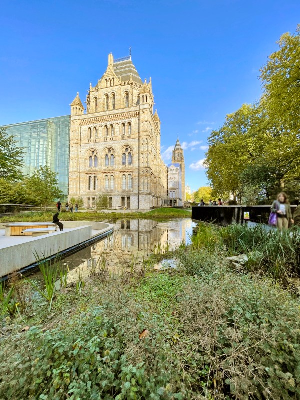 Nature Discover Garden 2024