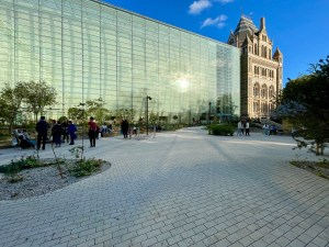 Nature Discover Garden 2024