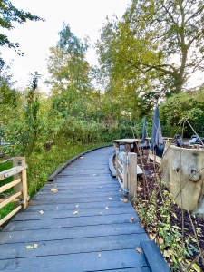 Nature Discover Garden 2024