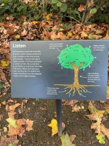 Nature Discovery Garden