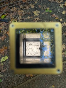 Nature Discovery Garden