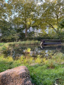 Nature Discover Garden 2024