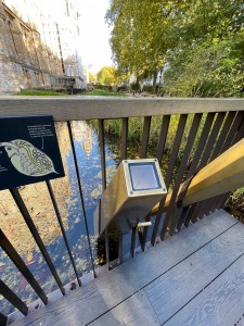 Nature Discovery Garden