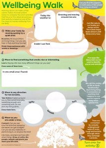 Nature Discovery Garden