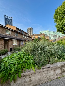 Pullen's Community Garden, Elephant and Castle